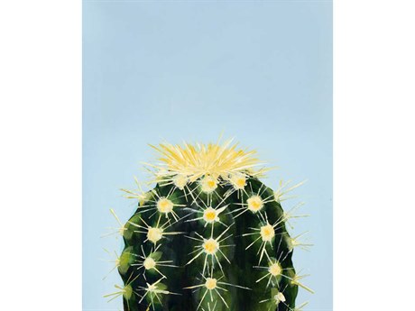 Daleno But Im A Pretty Prick IV Wall Art