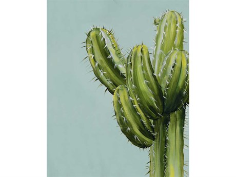 Daleno But Im A Pretty Prick VII Wall Art