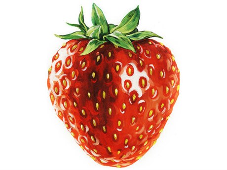 Daleno Fresh Pick Wall Art