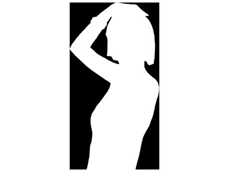 Daleno Dress for the Stage I Wall Art