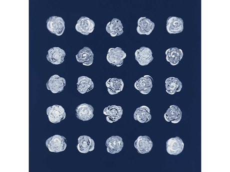 Daleno 2 Dozen Plus One II Wall Art
