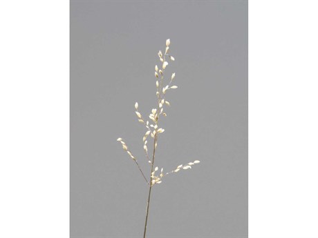 Daleno Poised Petals III Wall Art