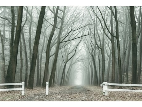 Daleno Ominous I Wall Art