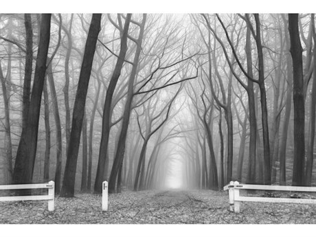 Daleno Ominous II Wall Art