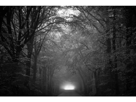 Daleno Groves I Wall Art