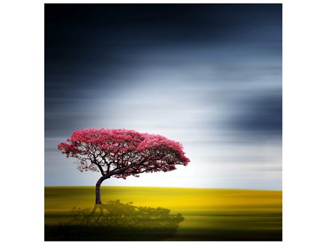 Daleno On One Occasion I Wall Art