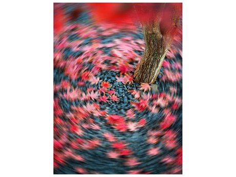 Daleno Swift Falls I Wall Art