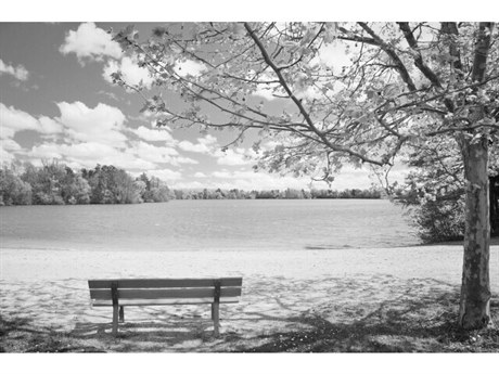 Daleno Park Perfection I Wall Art