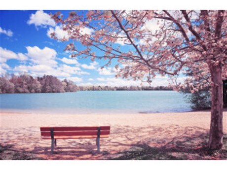Daleno Park Perfection II Wall Art