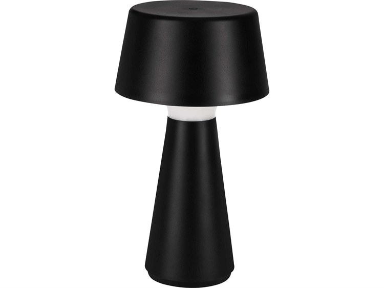 Eglo Huesa 1-Light Outdoor Lamp