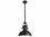 Elegant Lighting Eamon Matte Black 1-light 13'' Wide Industrial Pendant  EGLD5001D13BRB