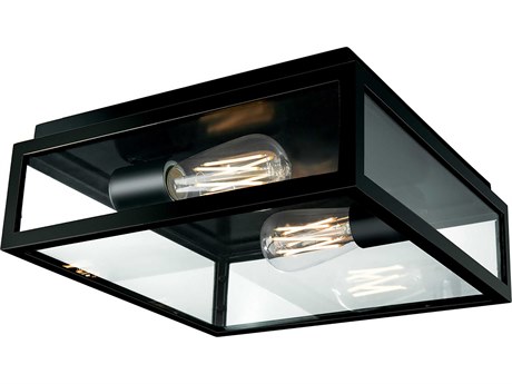 Elk Home Capture 2-Light Matte Black Flush Mount