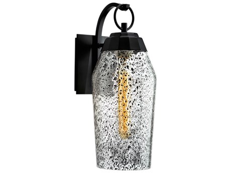Elk Home Lyrids 1-Light Outdoor Wall Light