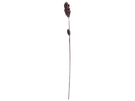 Elk Home Black Corn Leaf Pole