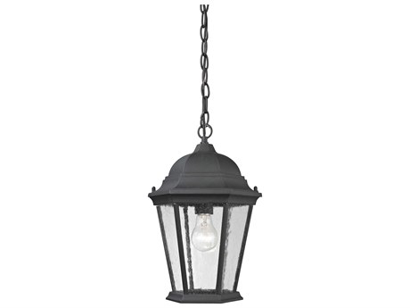 Elk Home Temple Hill 1-Light Outdoor Hanging Light