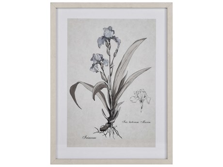Elk Home Iris Botanic Framed Canvas Wall Art