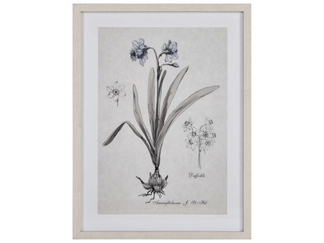 Elk Home Daffodil Botanic Framed Canvas Wall Art