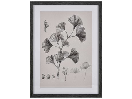Elk Home Ginkgo Botantic Framed Canvas Wall Art