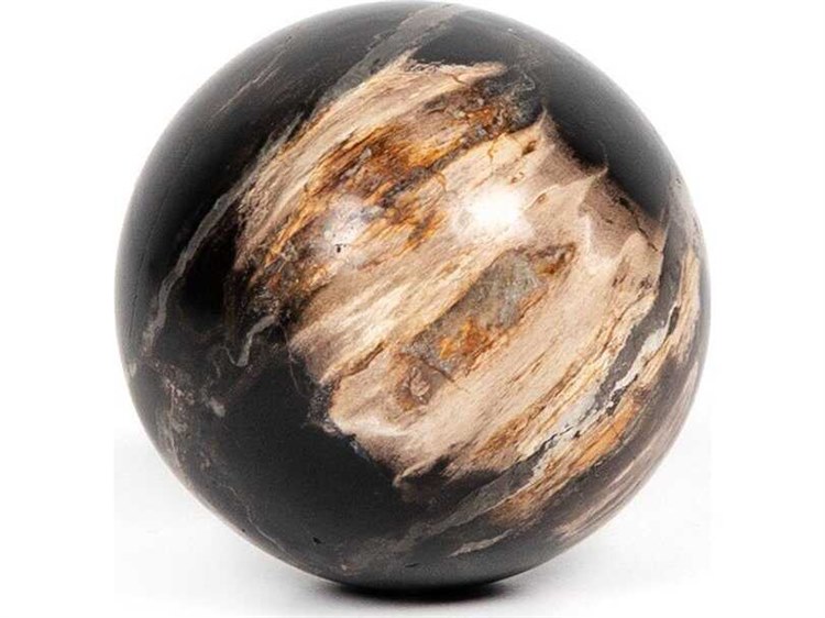 Four Hands Palu Dark Petrified Wood Balls, Set Of 3 FS227718001