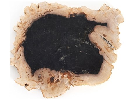 Four Hands Palu Petrified Dark Petrified Wood   Slab