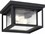 Generation Lighting Hunnington 2 - Light Outdoor Ceiling Light  GEN7802757