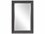 Howard Elliott Queen Ann Glossy Green 24''W x 36''H Rectangular Wall Mirror  HE53081MG