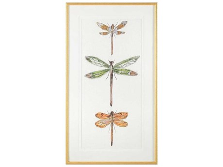 John Richard Joy Colangelo's Joyful Dragonflies-II Print / Painting
