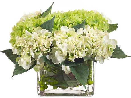 John Richard Hydrangea Row