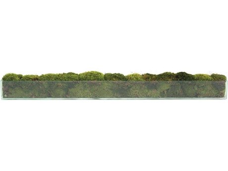 John Richard Moss Mounds Botanical