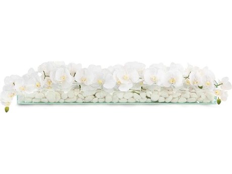 John Richard Floating Orchids
