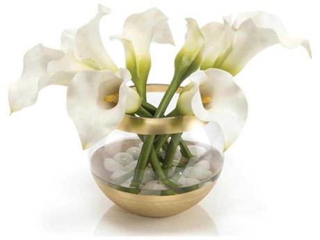 John Richard Golden Callas Botanical