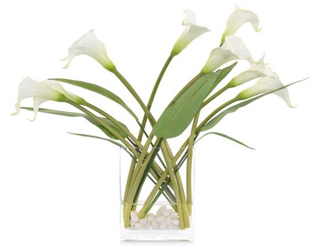 John Richard Windblown Callas