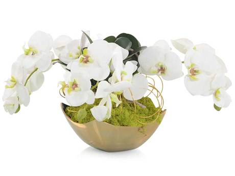 John Richard Fallen Orchids