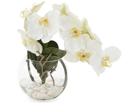 John Richard Aqua White Orchid Botanical