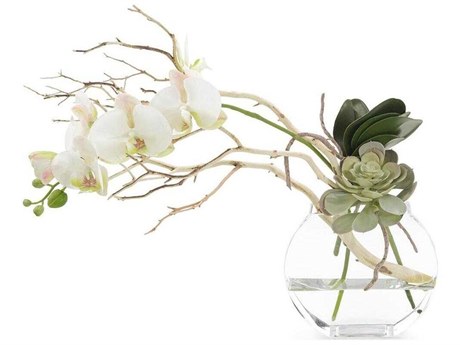John Richard Blushing Pink Orchid Botanical