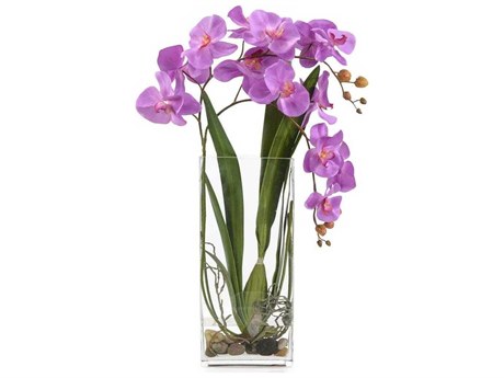John Richard Deep Asian Orchid Botanical