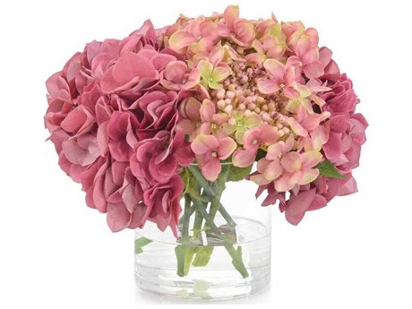John Richard Sugar Plum Botanical