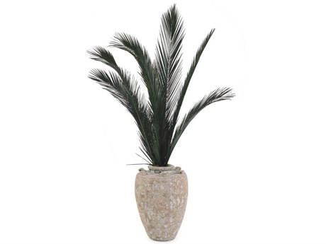 John Richard Crusty Palms