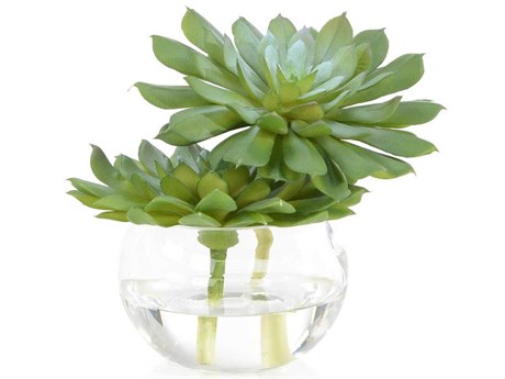 John Richard Double Succulent Botanical