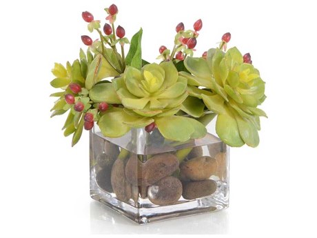 John Richard Succulents & Hypericum Botanical