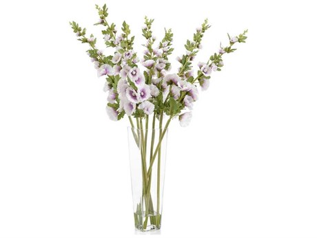 John Richard Beautiful Orchids Botanical
