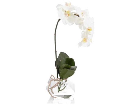 John Richard Real Touch Orchid Botanical