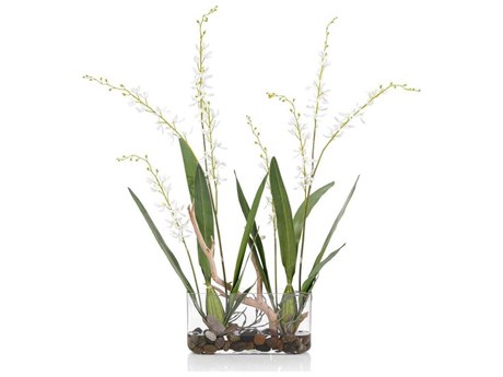 John Richard White Pearls Botanical