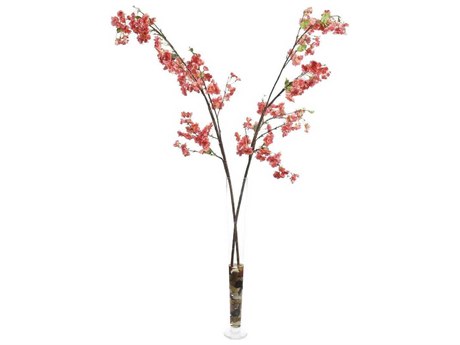John Richard East Coast Cherries Botanical