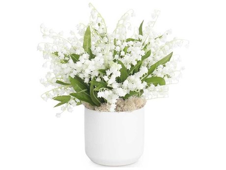 John Richard Lily of the Valley Botanical