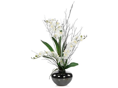 John Richard Black Bamboo & Orchids Botanical