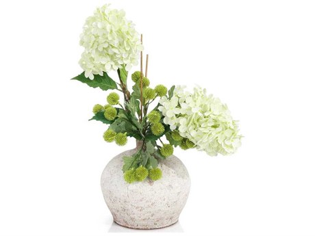 John Richard Woodland Hydrangeas Botanical
