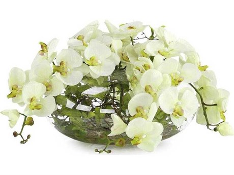 John Richard Enchanted Orchids Botanical