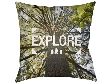 Livabliss by Surya Explore Pillow