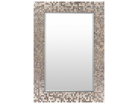 Livabliss by Surya Whitaker Natural Gray Rectangular Wall Mirror